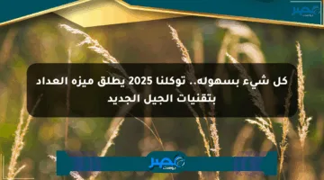 كل شيء بسهولة.. توكلنا 2025 يطلق ميزة العداد بتقنيات الجيل الجديد